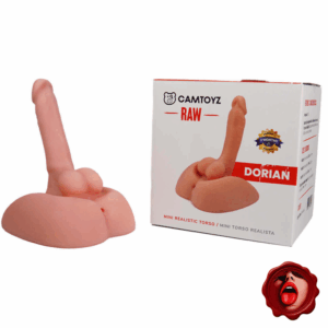 CAMTOYZ MINI TORSO DORIAN